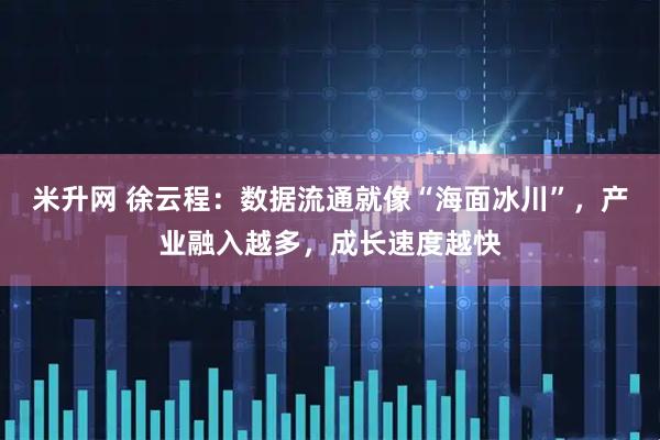 米升网 徐云程：数据流通就像“海面冰川”，产业融入越多，成长速度越快